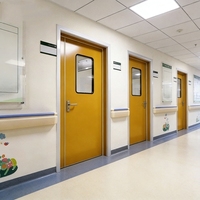 Porte d'hôpital standard européenne, porte médicale en acier sur mesure, porte de salle blanche scellée, porte battante intérieure d'hôpital