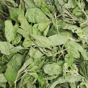 Té de Hojas de Menta Secas al por Mayor, Bolsas de Té de Menta Seca a Granel, Hierbas Secas, Té de Menta de Hoja Verde - Product Image 2