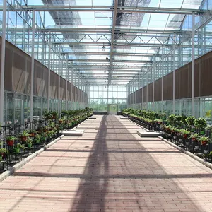 Prefab Industrial Greenhouses Agricultural Greenhouses Large Glass Supply Golden Supplier 4 Season Glass Greenhouse 4.5m-7.5m