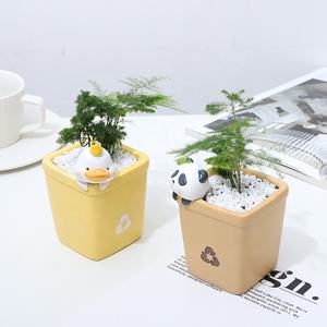 Mini Pots de fleurs décoratifs en résine, produits en gros, mignon bricolage de jardin de dessin animé, mousse succulente personnalisée - Product Image 3