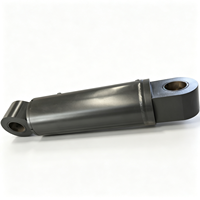Cylindres hydrauliques à double action de haute qualité fabriqués en usine avec placage au chrome dur, acier, garantie 1 an