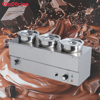 Petit Bain-Marie de Table en Acier Inoxydable, Chauffe-Sauce Commercial Électrique, Capacité 4L-20L, Économie d'Énergie, Arrêt Automatique