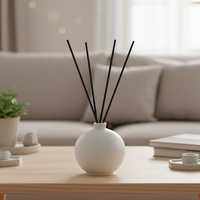 Bâtonnets diffuseurs d'arômes en fibres écologiques durables noires, décoration d'intérieur, accessoires parfumés prêts à offrir, désodorisant d'ambiance
