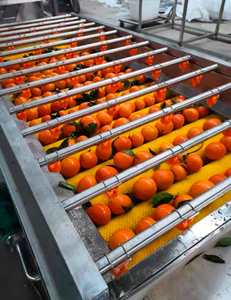 เครื่องทำความสะอาดฟองกิโลกรัม/ชั่วโมง500สำหรับแตงกวาทะเลสาหร่ายทะเลมะม่วงสับปะรดกะหล่ำปลีพริกผักอื่นๆผลไม้ - Product Image 1