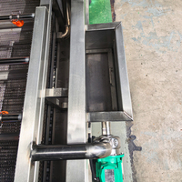 YOUBAN Automatische 304 RVS Belletjeswasmachine Industriële Groente- en Fruitwasser voor Voedselverwerkingslijn