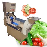 Nueva Máquina Cortadora de Verduras y Frutas de Doble Cabezal de Acero Inoxidable con Motor, Procesador de Cebollas y Patatas, Tamaño de Corte Ajustable