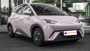 <span class=keywords><strong>Auto</strong></span> Elettrica Mini di Lusso Seagull EV, Marchio Top Cinese, Guida Dinamica - Product Image 2