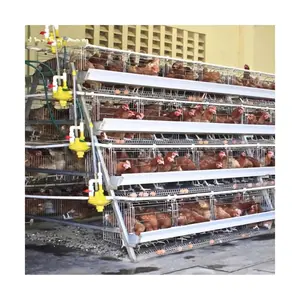 Design Modern Poultry Farm House Automatic Battery Egg Layer Chicken Cages for Sale