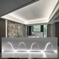 Bande LED flexible CCT 120 LED/m double face sur PCB découpable 5050 24V pour éclairage décoratif intérieur d'escaliers et d'armoires
