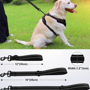 Fuerte acolchado corto de nailon para perro, mango acolchado de alta resistencia, mango acolchado de tráfico, resistente corto de nailon para perro, plomo para entrenamiento - Product Image 3