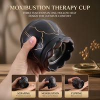 Pot de Moxibustion en Pierre Rouge Bian Sculptée Lotus, Personnalisé, Vente en Gros, Anti-brûlure, en Acier, Pot Gua Sha pour Massage à Domicile, Spa, Relaxation Corporelle, Classe I CE