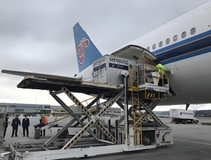 Servicio de envío de carga de avión barato desde China con 7-9 días Seguro de tránsito 24/7 Soporte-Agente de envío - Product Image 5