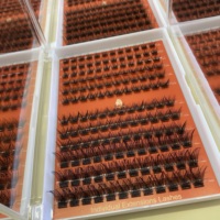 Kit de cils en cluster de vison DIY en gros, cils individuels vegan, clusters de cils larges et fins, rubans de cils pré-mappés