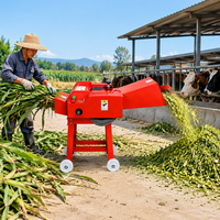 Broyeur de fourrage JIANGLAI, coupe-herbe, machine à couper le fourrage, machine à couper la paille, le maïs, les tiges, la ensilage pour l'alimentation animale