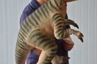 Marionnette de dinosaure Velociraptor bébé animatronique réaliste en métal, contrôlée à la main, personnalisable pour centres commerciaux et garderies