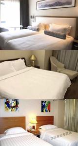 Juego de cama de lujo de EE. UU., Sábana King bordada de algodón 100% y colcha para el hogar, juego de colcha de alta calidad para el hogar del Hotel - Product Image 5