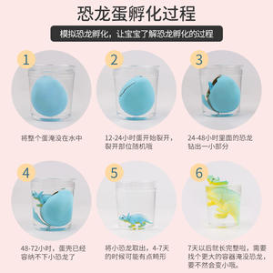 Cajas Completas de Huevos de <span class=keywords><strong>Dinosaurio</strong></span> Pequeños para Incubar, con Expansión en <span class=keywords><strong>Agua</strong></span>, Regalos de Juguetes de Animales para el Día del Niño - Product Image 4
