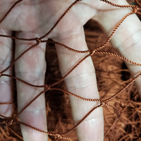 Filet de pêche en nylon/polyester à nœuds simples haute résistance fabriqué en Chine, maille de 12 mm à 1000 mm, filet d'élevage de poissons