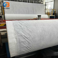 Filet de drainage composite en maille 3D haute compression pour le remblai des murs de soutènement et le drainage des sous-couches routières et ferroviaires