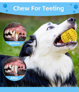 Yeni elektrikli Pet oyuncak otomatik haddeleme topu köpekler için sızıntı gıda zıplayan köpek topları köpek interaktif oyuncak - Product Image 2