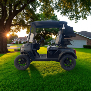 Carrito de Golf de 2 Plazas al por Mayor, OEM, con Batería de Litio de 60V/72V, Estructura de Acero, Certificado CE, Servicio Postventa de Larga Duración - Product Image 2