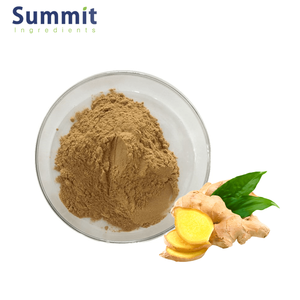 Toptan zencefil kökü özü tozu 5% Gingerols zencefil tozu - Product Image 3