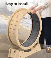 Installation facile Grande roue d'exercice pour chat sur tapis roulant avec podomètre