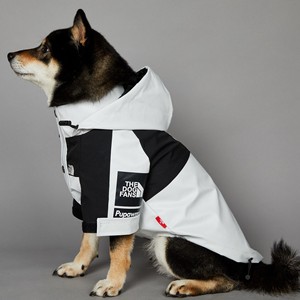 Veste d'hiver de marque américaine tendance Grands chiens Motif solide Coupe-vent Imperméable Eco-friendly Pure White Modern <span class=keywords><strong>North</strong></span> Polyester - Product Image 1