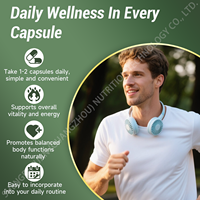 Capsules de nicotinamide riboside liposomale 900 mg, marque privée OEM, NAD+, soutien énergétique cellulaire, vieillissement sain, adulte, 2 capsules par dose