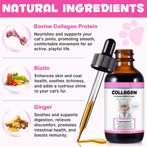 Gouttes de collagène <span class=keywords><strong>pour</strong></span> chats riches en protéines OEM avec <span class=keywords><strong>biotine</strong></span>, MSM et gingembre <span class=keywords><strong>pour</strong></span> la santé des articulations et digestive 60ml - Product Image 5