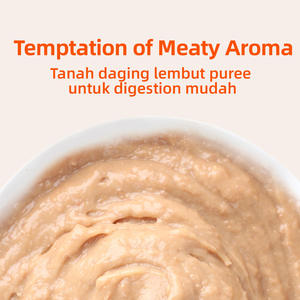 Dilisa Cat Strip English Package Snacks Liam Wet Food 15g Fabriqué en Angleterre Fat Gill - Product Image 4