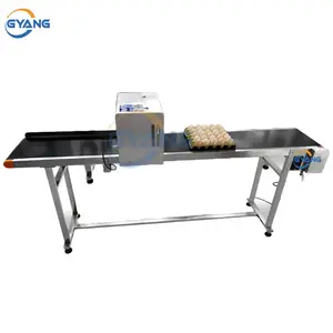 Industrial Egg Ink Jet Printing Machine Food Grade On Eggs Printer