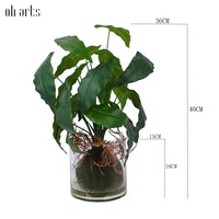 Plantes artificielles Oh Arts : Feuillage, Branches et Feuilles de Tortue Artificielles en Pot – Plante Alocasia Verte pour la Décoration