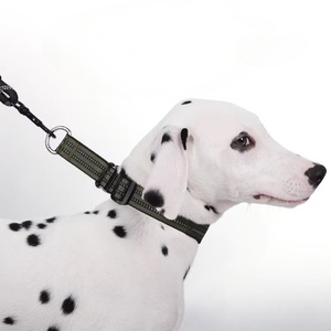 Anpassbares neues Halsband für große mittelgroße Hunde Reflektierende Anti-Lost-Nylon-Massiv-Cross-Border-gepolsterte Gravur funktionen - Product Image 4