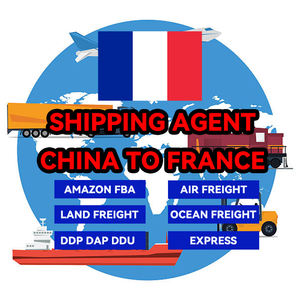 Logística LCL + Express DDP de China a México, Grecia, Francia, Austria, servicio puerta a puerta con carga gratuita LCL y Express - Product Image 1