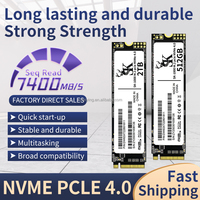 SK-feiying SSD Eksternal Nirkabel NVMe M.2 Berkinerja Tinggi 6Gb/s Baru 73000MB/s Kecepatan Baca/68000MB/s Kecepatan Tulis Logam Plastik
