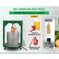Automatische Zware Koude Pers Squeezer Machine Voor Ananassap Granaatappel Fruit Honing Juicer Met Hydraulische Schroef Jack