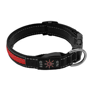 Nuevo Diseño, Collar de Nailon Ajustable para Perros y Gatos con Luz LED Intermitente Recargable por USB, Antipérdida - Product Image 3