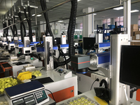 Tag Telinga RFID LF ICAR ET908 Baru untuk Identifikasi Hewan Ternak, Material TPU, Ketahanan Tarik 350N, Garansi 5 Tahun, Untuk Penggunaan Peternakan, Sesuai Standar ISO11784/5