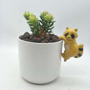 Maceta de Cerámica con Borde Decorativo, Soporte para Macetas, Adorno de <span class=keywords><strong>Koala</strong></span> Colgante, Soporte para Pecera, Terrario, Jardín Moderno - Product Image 5