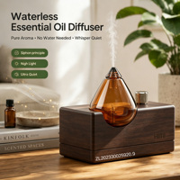 Diffuseurs d'huiles essentielles aromatiques premium HIITII 20 ml pour la maison, base en bois de hêtre sans eau, réservoir en verre fait main, USB portable