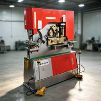 Machine de découpe et de poinçonnage hydraulique combinée pour tôles, prix usine