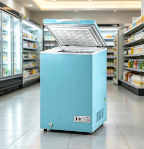<span class=keywords><strong>Congélateur</strong></span> <span class=keywords><strong>coffre</strong></span> compact 98L à prix de gros, <span class=keywords><strong>congélateur</strong></span> mécanique pour supérette et mini-marché - Product Image 1