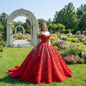 Robe de Quinceañera Dy6948-1 avec perles et sequins, appliques de dentelle naturelles, charmante robe de bal pour Miss 15, Vestido De Xv - Product Image 1