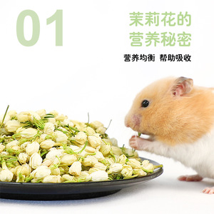 Crown Asia Jasmine Snacks 400ml Flores Secas Naturales Para Alimento de Hámster - Product Image 2