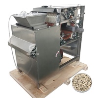 Éplucheur d'écrou de Type humide professionnel pour moteur d'élimination de la peau d'arachide d'amande de pistache comme composant de base à vendre