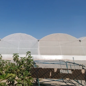Casa de Malla Plástica en Forma de Domo, Invernadero Duradero de Alta Resistencia con Diseño de Domo, Malla de Polietileno Resistente a los Rayos UV - Product Image 1