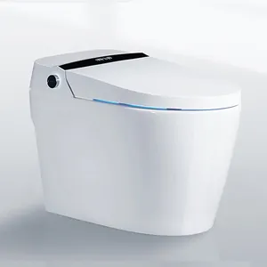 Articles sanitaires modernes, toilettes électriques intelligentes une pièce, Bidet de salle de bains, toilettes intelligentes en céramique