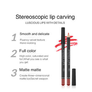 Set <span class=keywords><strong>de</strong></span> Delineador <span class=keywords><strong>de</strong></span> Labios, Acabado Mate Satinado, Alta Pigmentación, Kit <span class=keywords><strong>de</strong></span> Lápiz Contorneador <span class=keywords><strong>de</strong></span> Labios, Empaque con Logotipo Personalizado, Set <span class=keywords><strong>de</strong></span> <span class=keywords><strong>Maquillaje</strong></span> <span class=keywords><strong>de</strong></span> Labios - Product Image 4