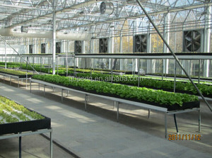 औद्योगिक कारखाने वेंटिलेशन निकास पंखे बेसमेंट ग्रीनहाउस प्रशंसक गर्मी अर्क चिकन फार्म कूलिंग फैन - Product Image 3